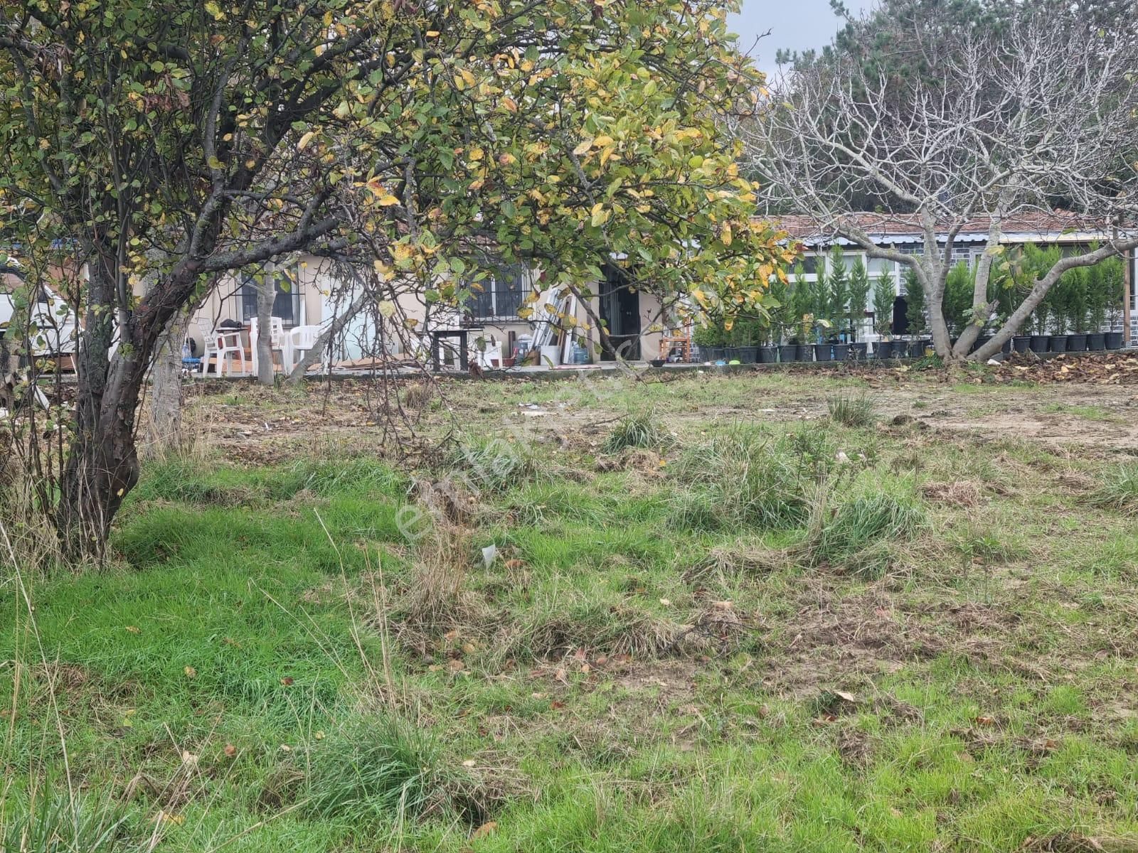 Sarıyer Kilyos (kumköy) 6040 M2 Müstakil Tapu Villa İmarlı Arsa - Görsel 5