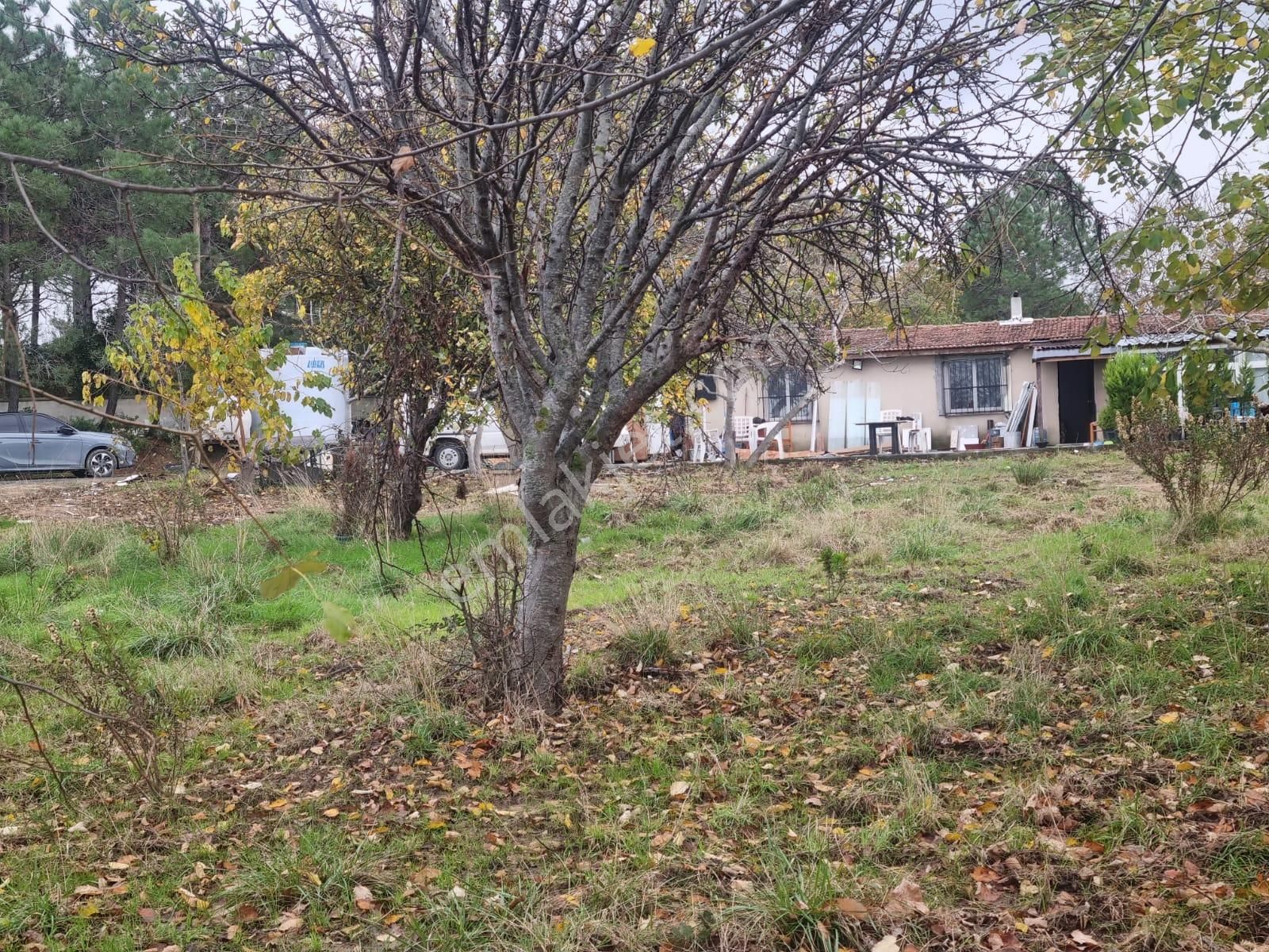 Sarıyer Kilyos (kumköy) 6040 M2 Müstakil Tapu Villa İmarlı Arsa - Görsel 25