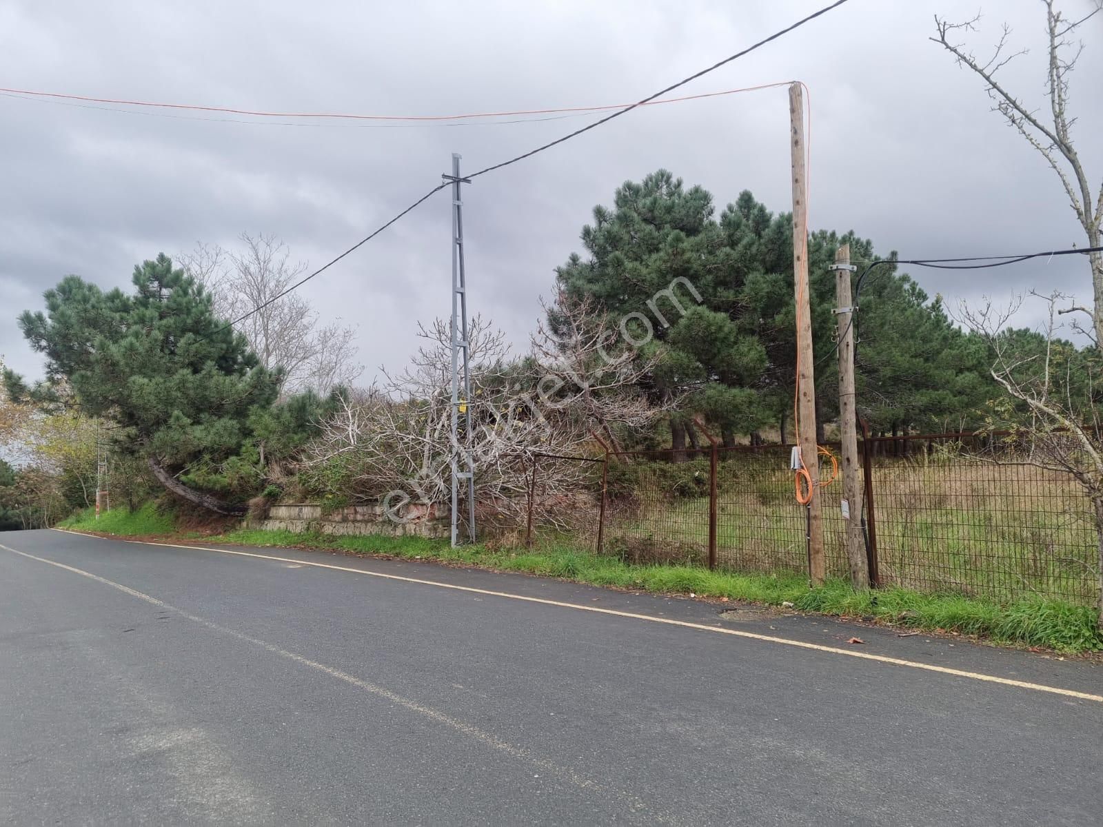 Sarıyer Kilyos (kumköy) 6040 M2 Müstakil Tapu Villa İmarlı Arsa - Görsel 28