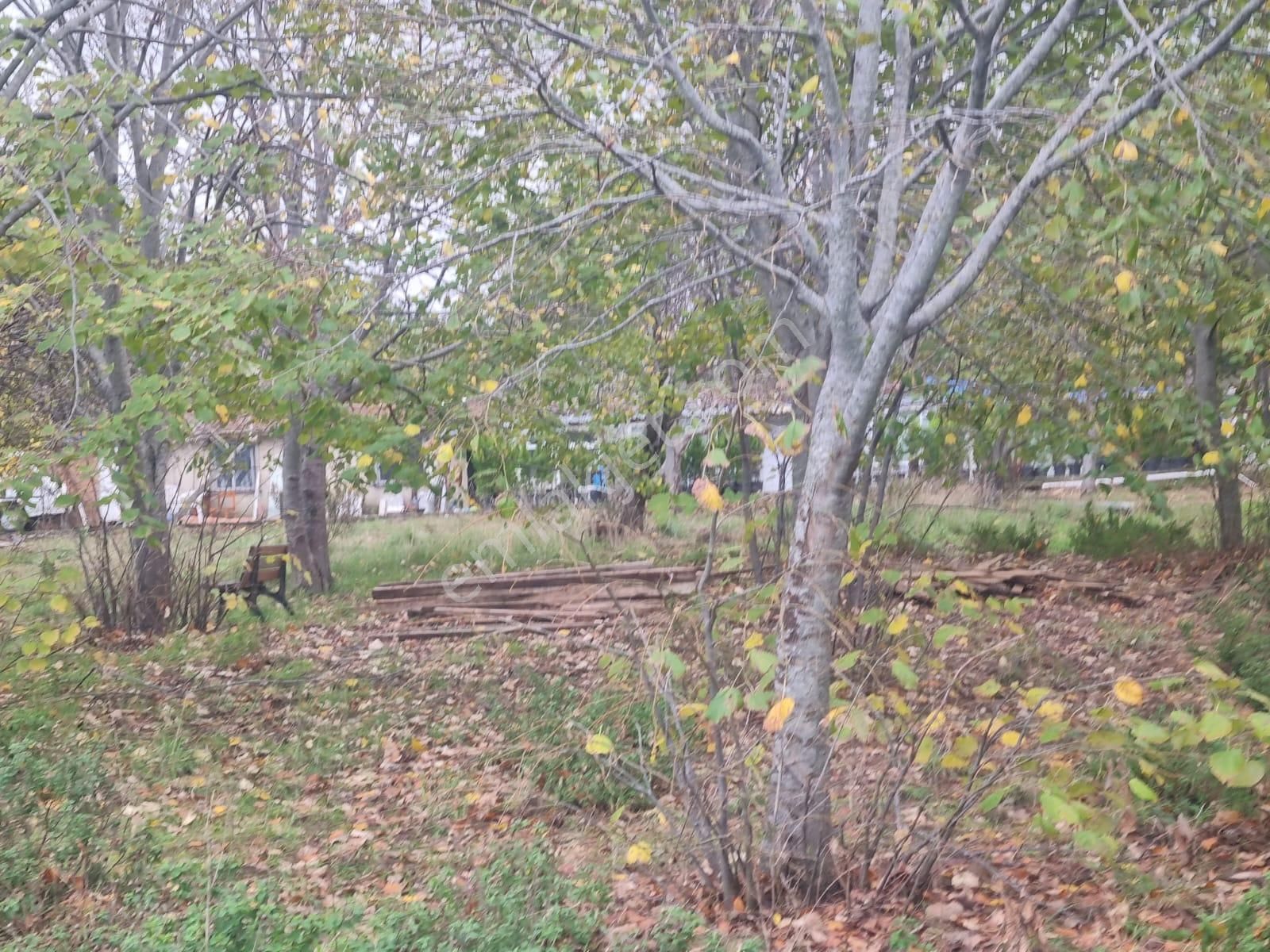 Sarıyer Kilyos (kumköy) 6040 M2 Müstakil Tapu Villa İmarlı Arsa - Görsel 2