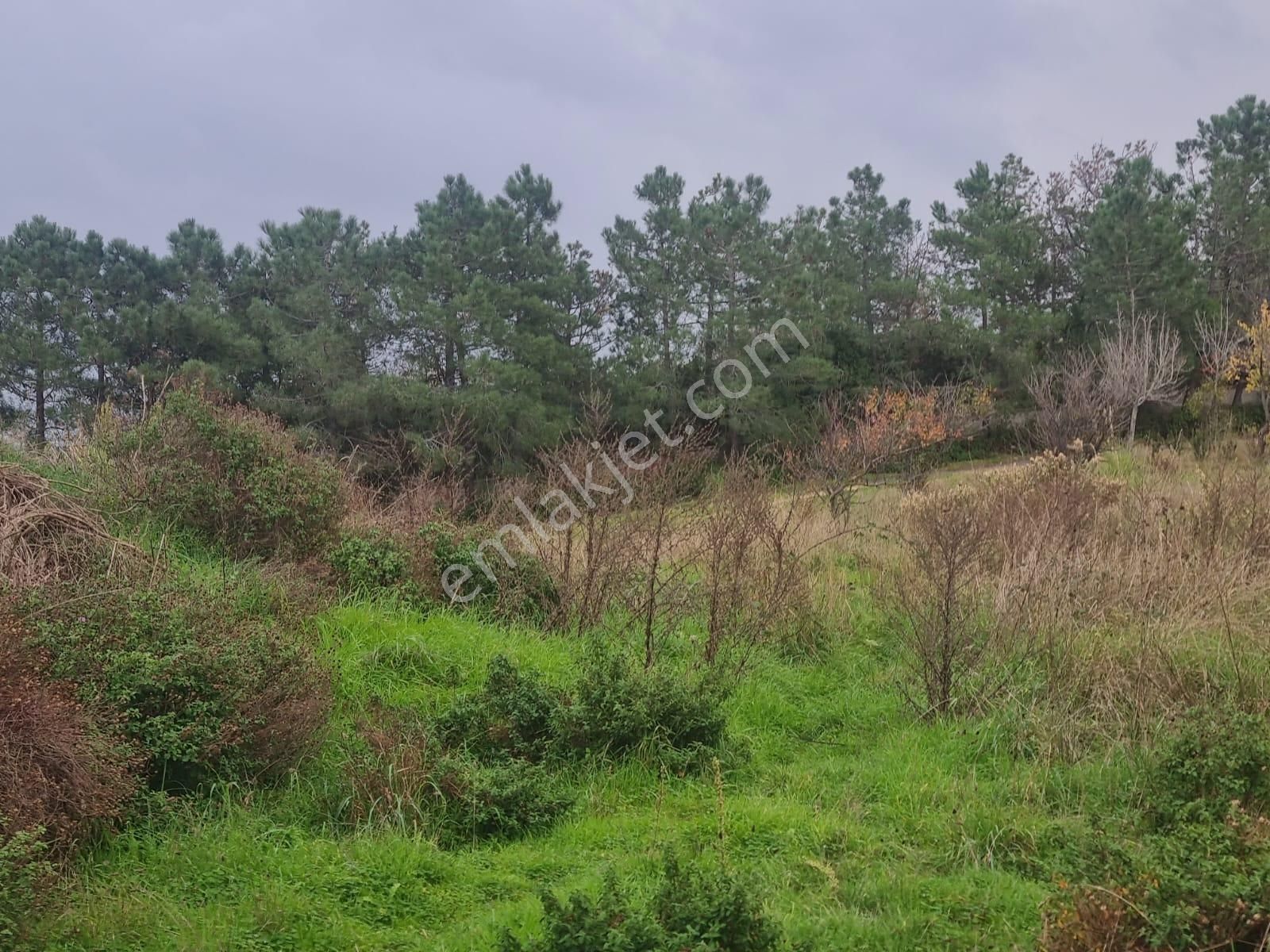 Sarıyer Kilyos (kumköy) 6040 M2 Müstakil Tapu Villa İmarlı Arsa - Görsel 9