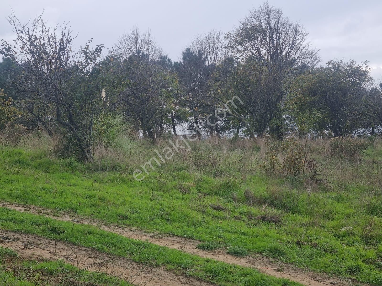 Sarıyer Kilyos (kumköy) 6040 M2 Müstakil Tapu Villa İmarlı Arsa - Görsel 24