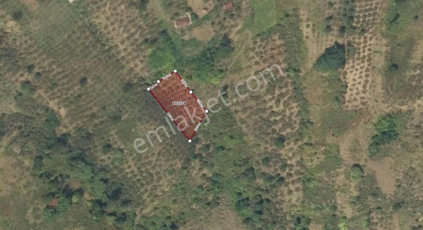 Trabzon Akçaabat Akçakale'de Satılık Arazi - Görsel 11