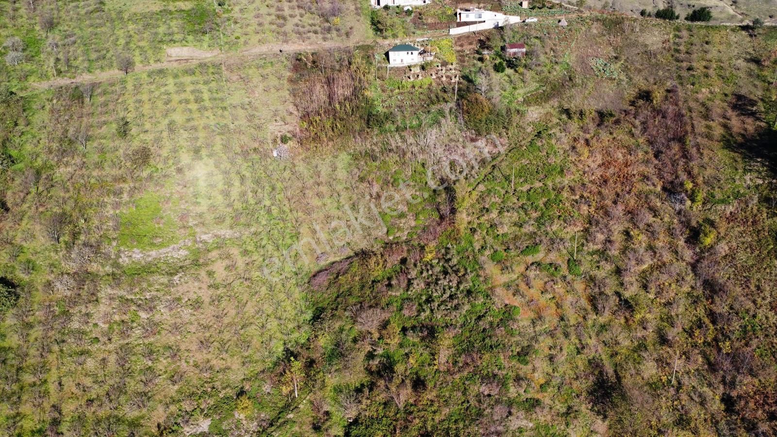 Trabzon Akçaabat Akçakale'de Satılık Arazi - Görsel 22