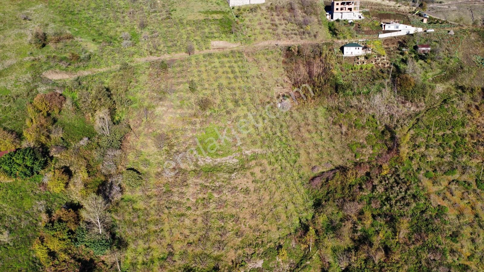 Trabzon Akçaabat Akçakale'de Satılık Arazi