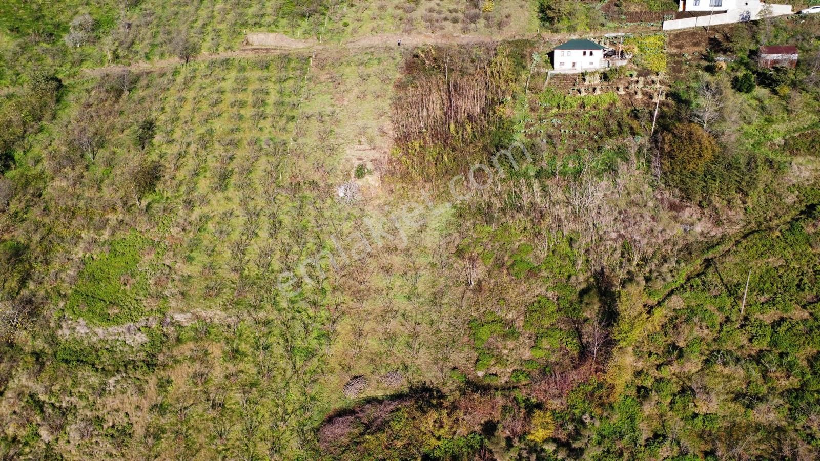 Trabzon Akçaabat Akçakale'de Satılık Arazi - Görsel 18
