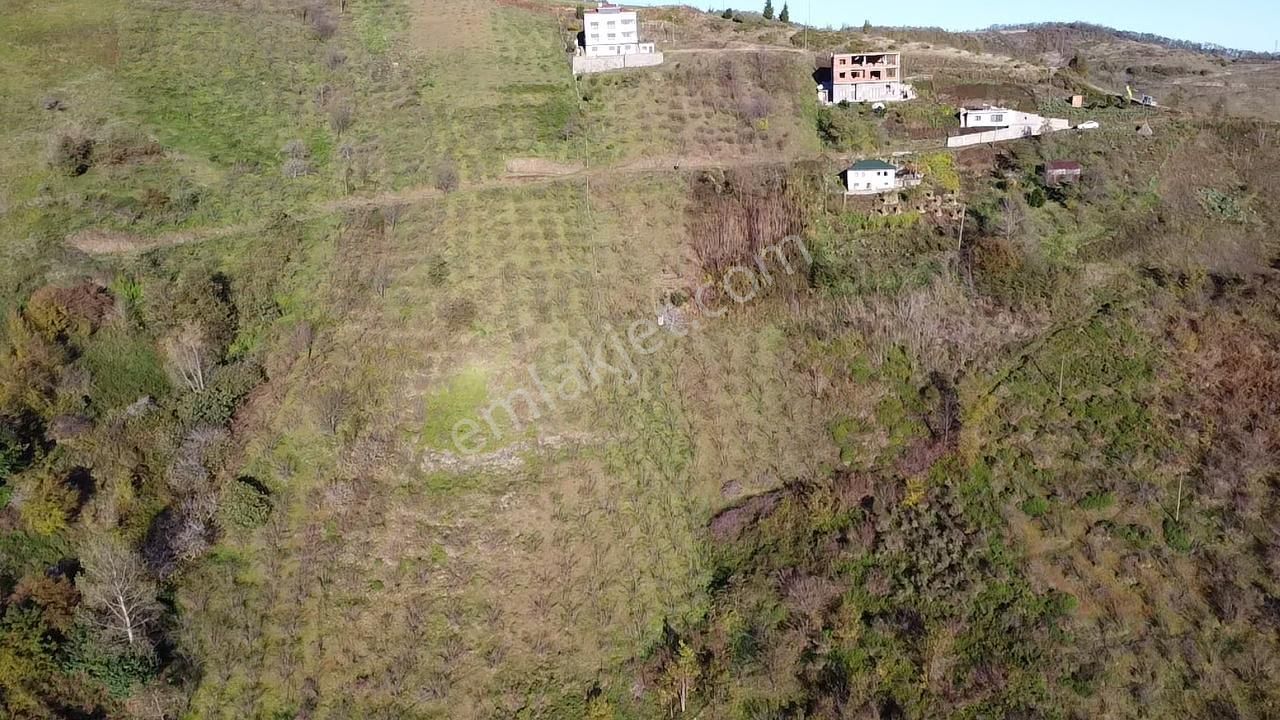 Trabzon Akçaabat Akçakale'de Satılık Arazi - Görsel 19