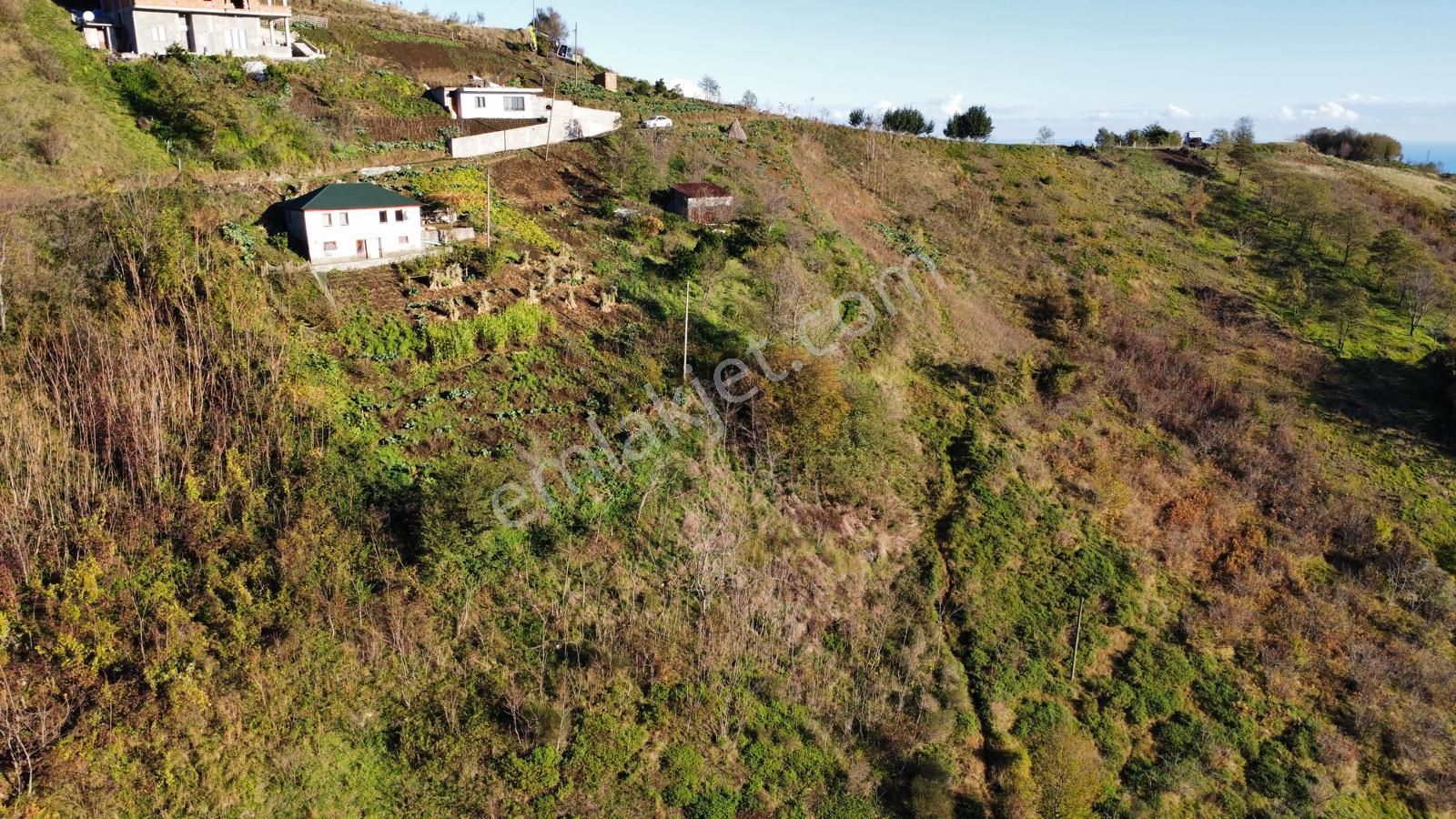 Trabzon Akçaabat Akçakale'de Satılık Arazi - Görsel 4
