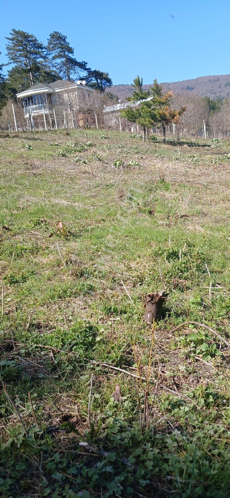 Boğazova Da Tapulu Arsa - Görsel 6