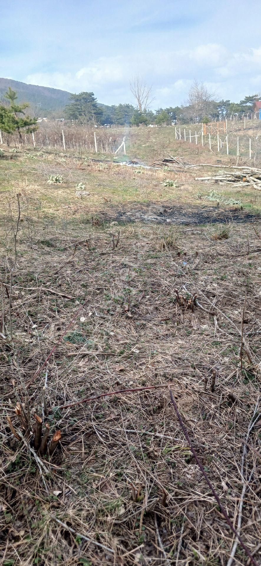 Boğazova Da Tapulu Arsa - Görsel 9