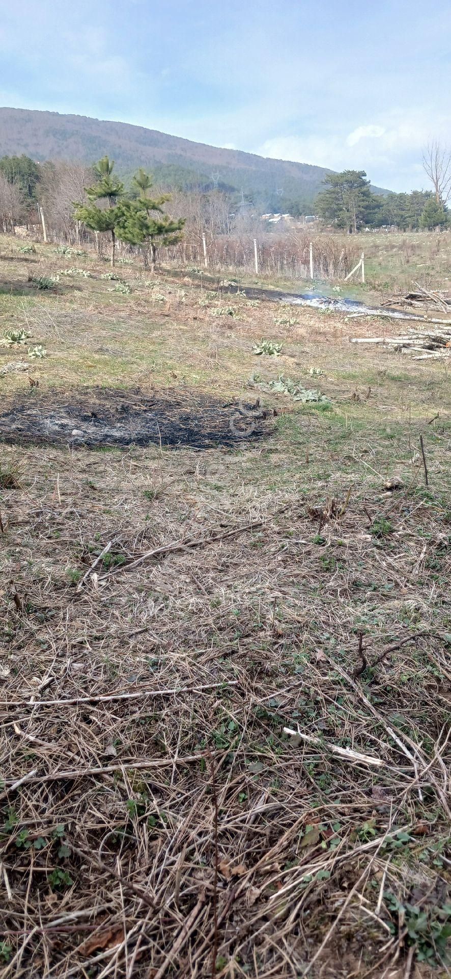 Boğazova Da Tapulu Arsa - Görsel 8