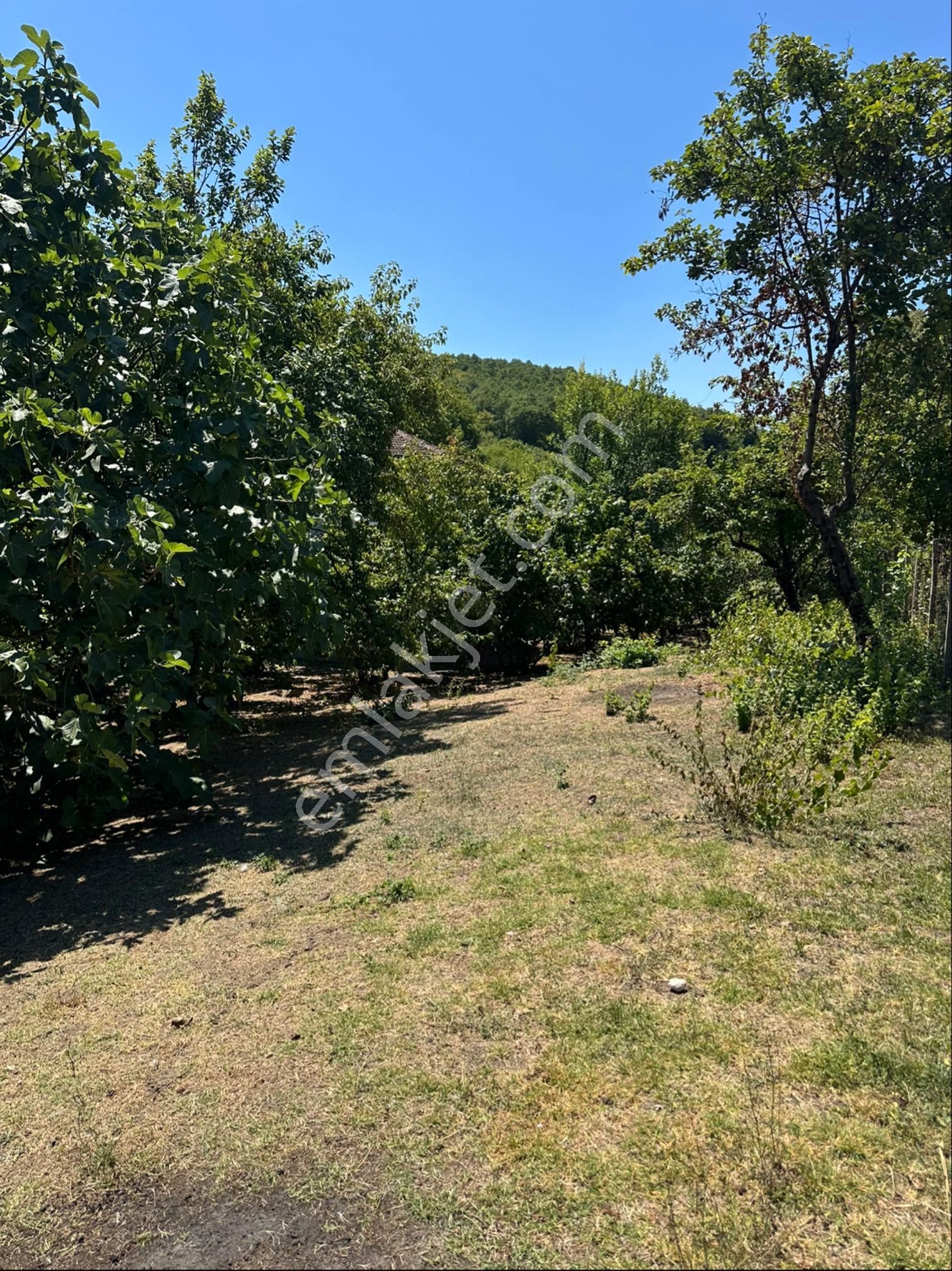 Uzunköyde Yatırımlık Satılık 1863 M2 Ev Ahır Ve Tarlası - Görsel 12