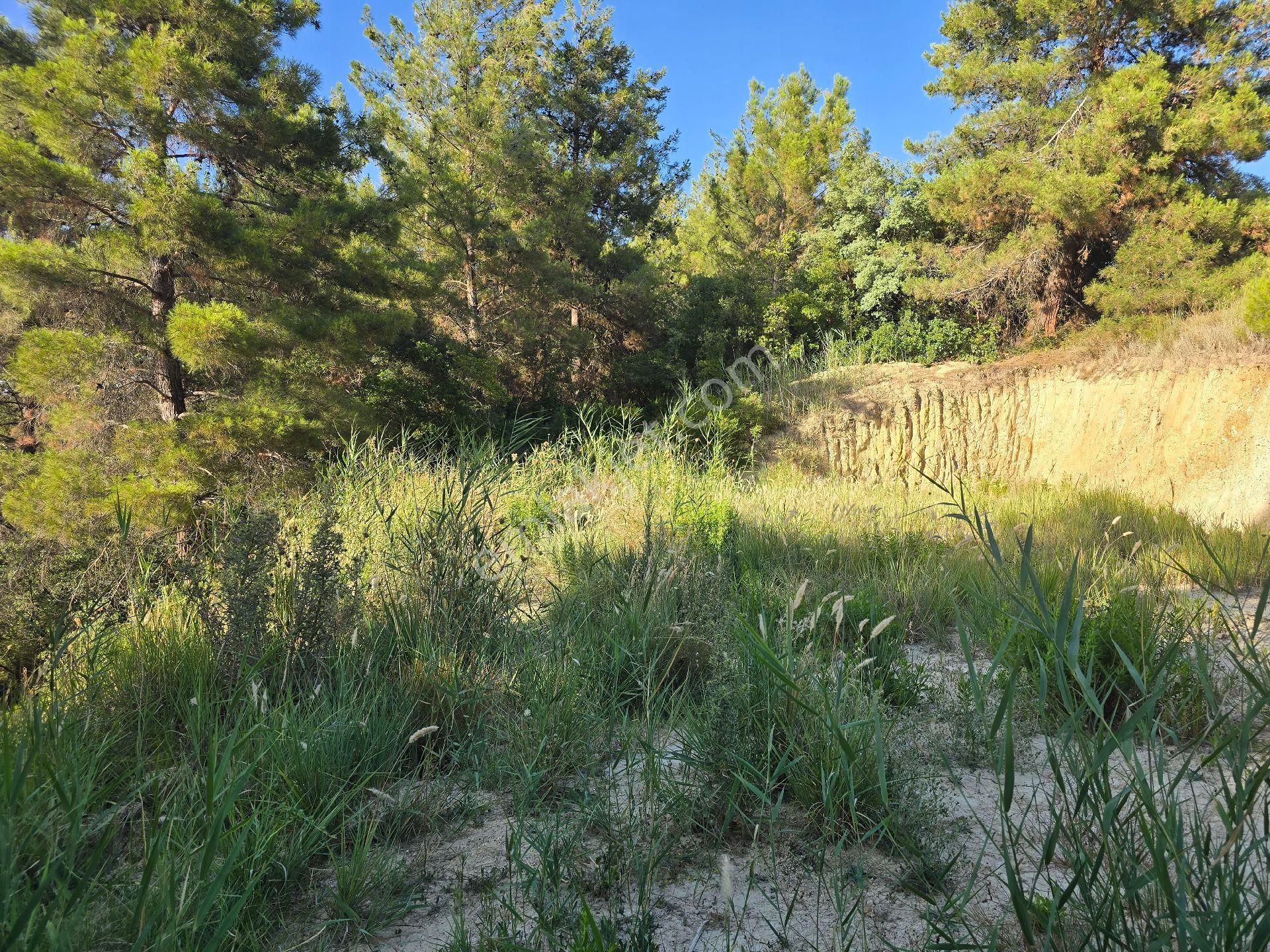 İzmir Buca Belenbaşı'nda 1.198 M2 Villa Yapılabilir Arazi. Açıklamayı Okuyarak Arayınız. - Görsel 2