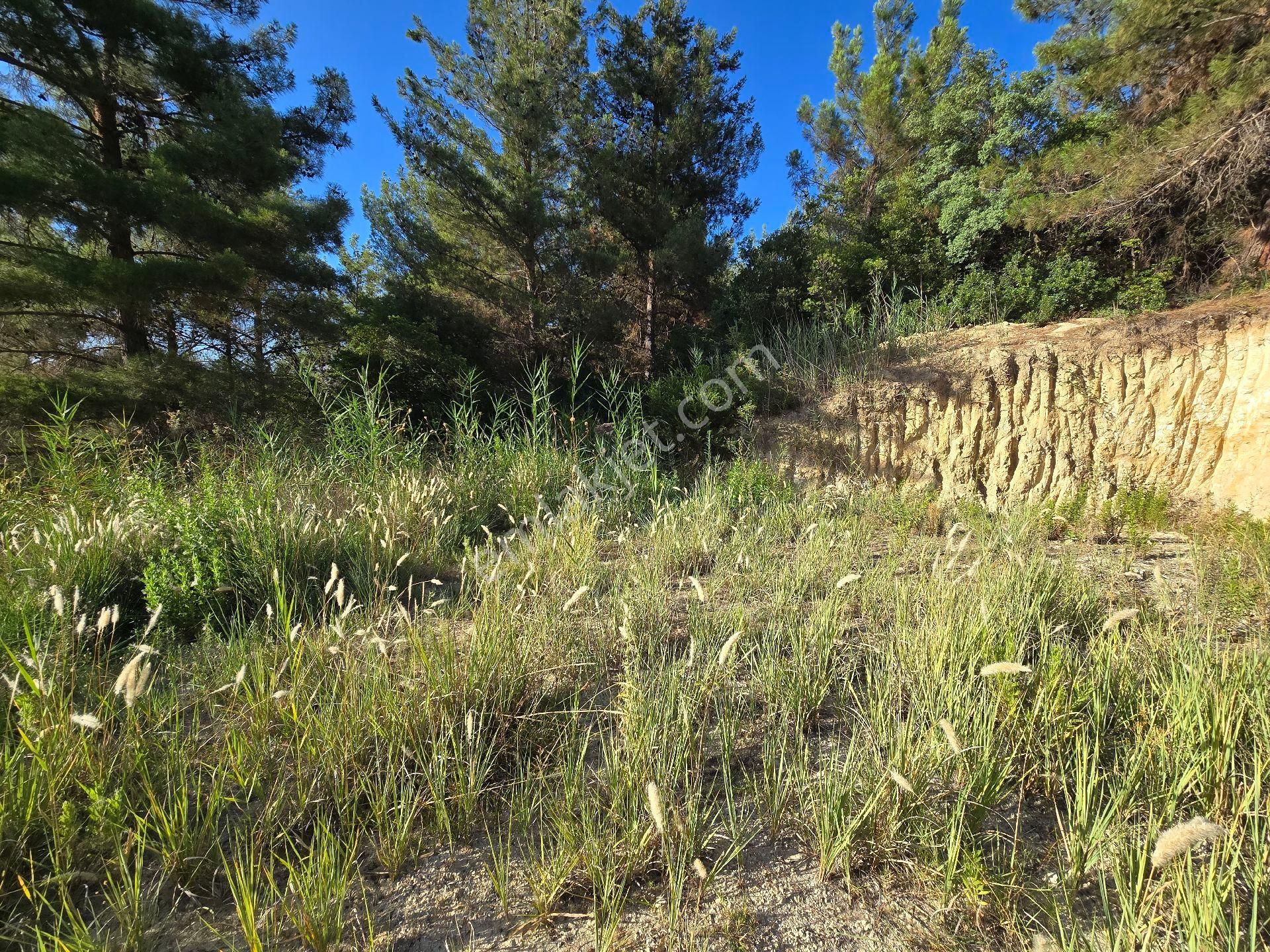 İzmir Buca Belenbaşı'nda 1.198 M2 Villa Yapılabilir Arazi. Açıklamayı Okuyarak Arayınız. - Görsel 3