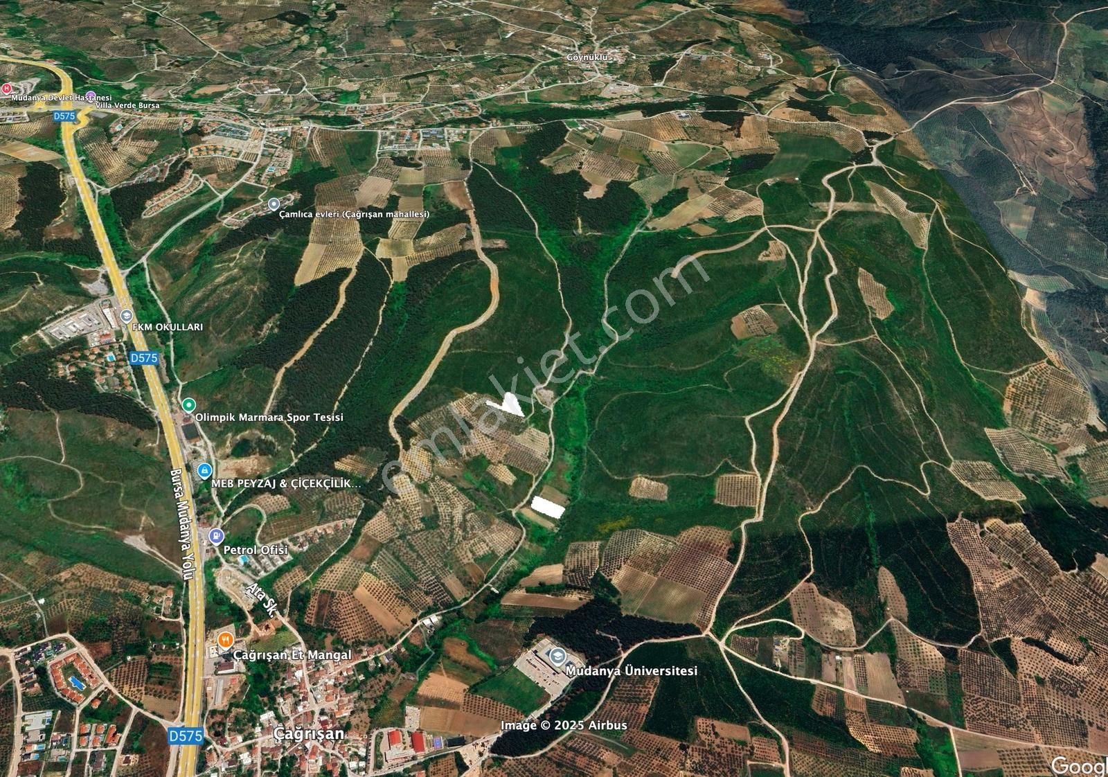 Rw Land Gayrimenkul Çağrışan 1/1000lik Planda Villa İmarlı Arazi - Görsel 6