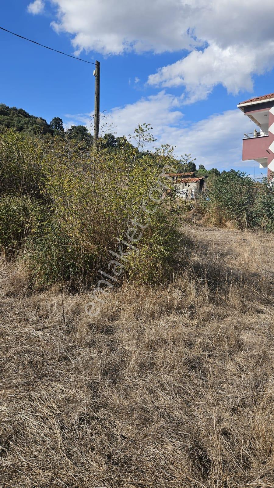 Balıkesir Balya Dereköy Köyünde 1.499 M² Arsa Satılıktır - Görsel 8