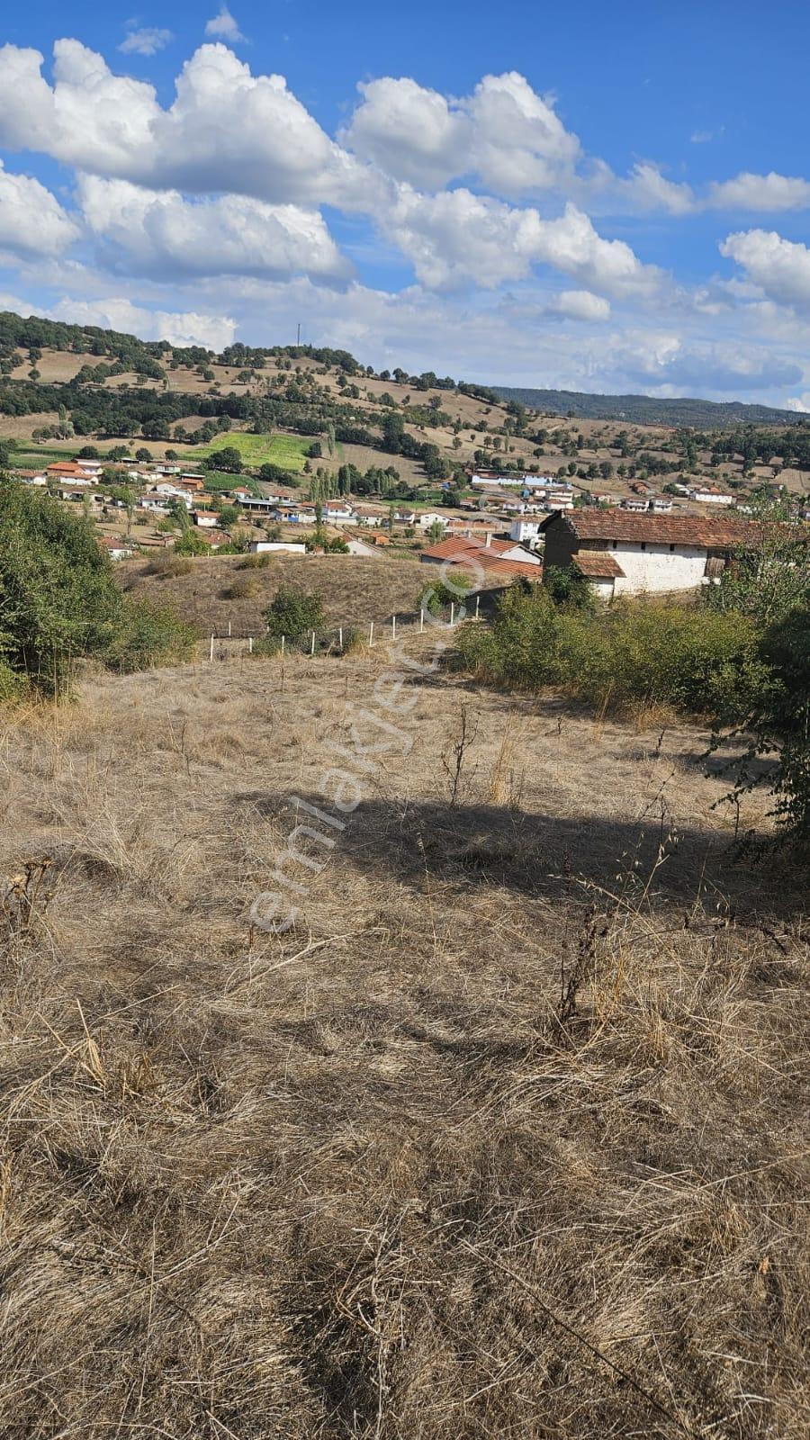 Balıkesir Balya Dereköy Köyünde 1.499 M² Arsa Satılıktır - Görsel 3