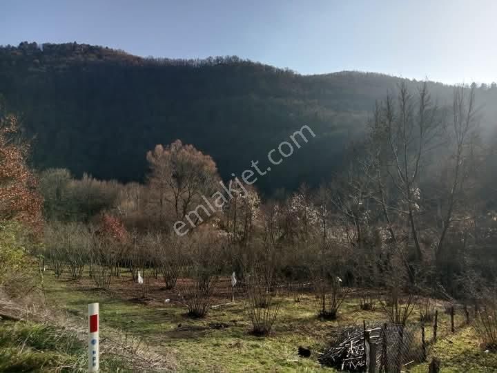 Rw Land Gayrimenkul'den Gemlik Fındıcakta Hobi Bahçesi