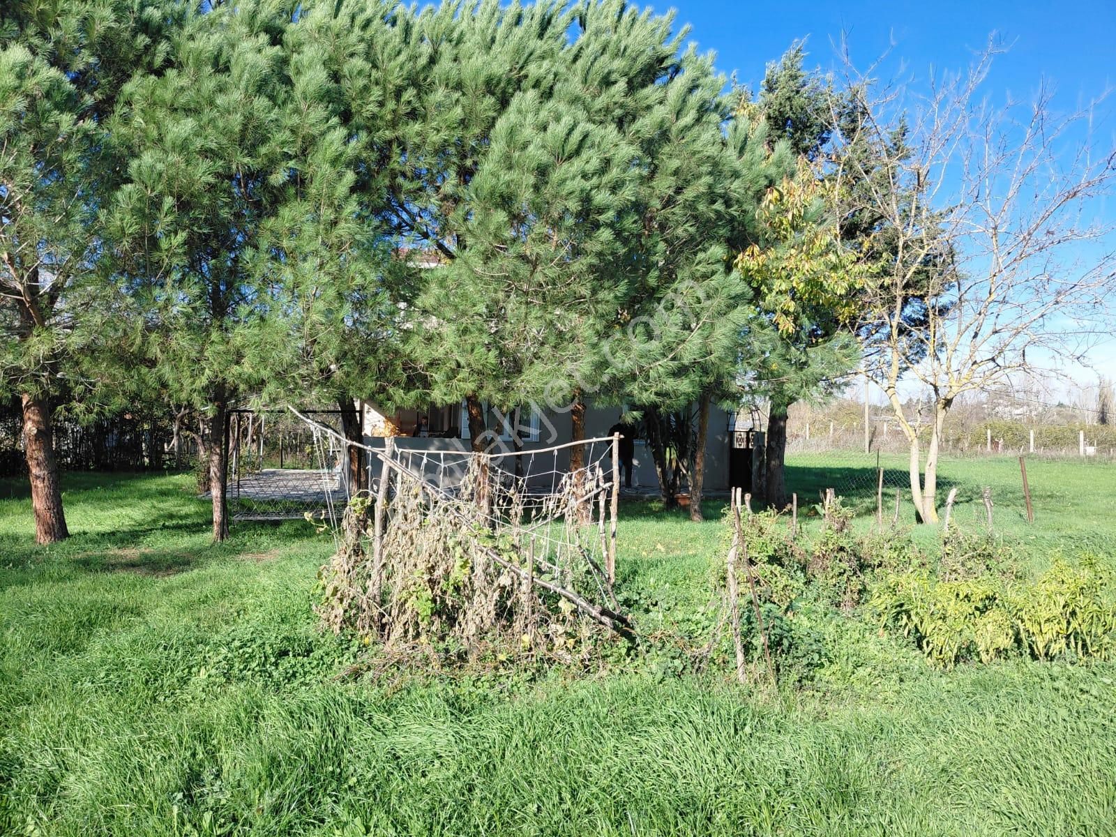 İstanbul Çatalca Kabakça Mah Satılık İmarlı Arsa 10.000 M2 - Görsel 16