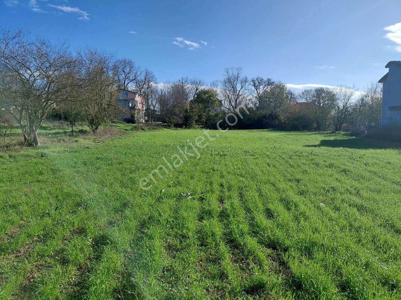 İstanbul Çatalca Kabakça Mah Satılık İmarlı Arsa 10.000 M2 - Görsel 7