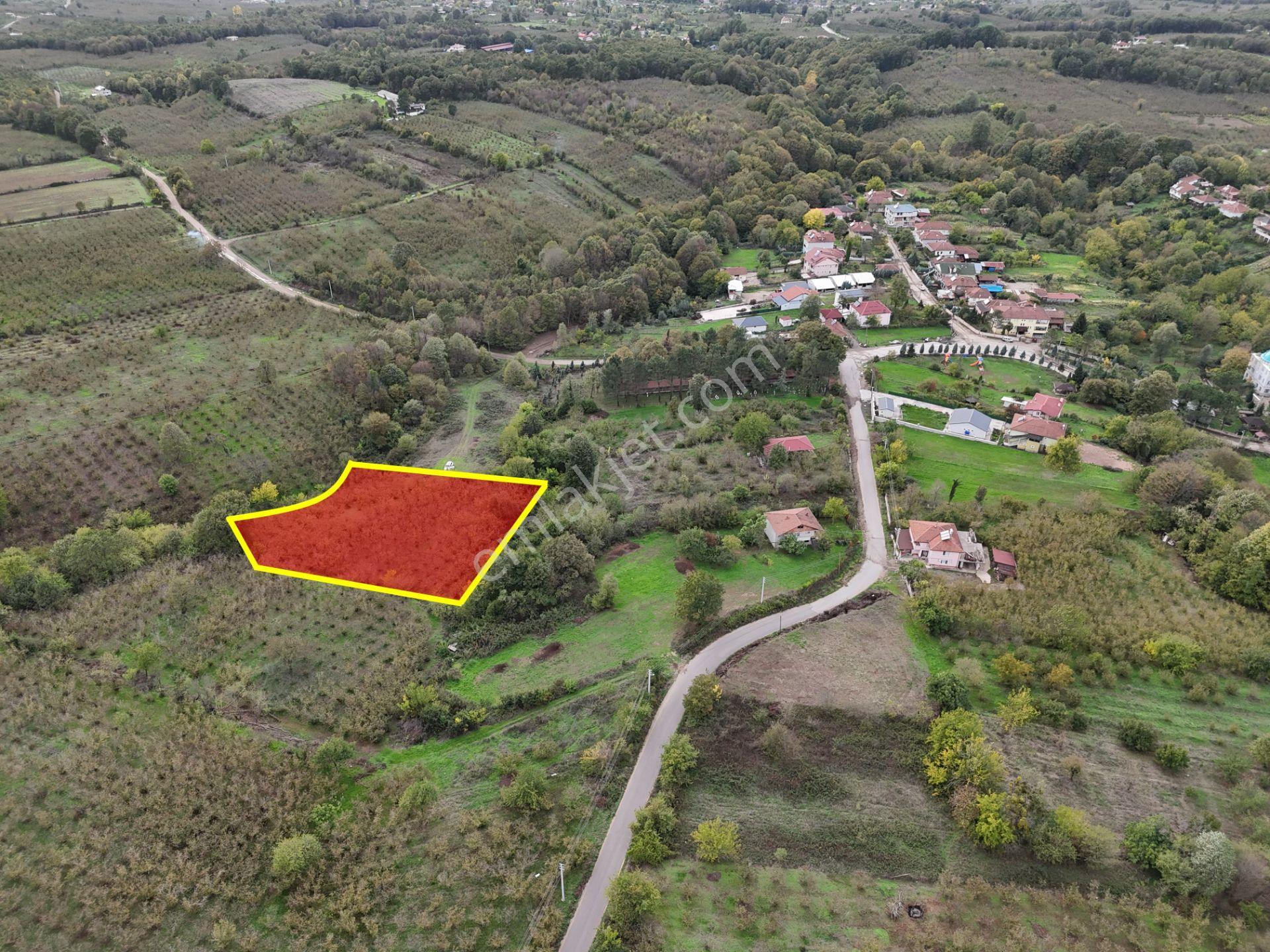 Emlak Evim - İkramiyede 4068 M2 Yarısı İmarlı Arsa - Görsel 15