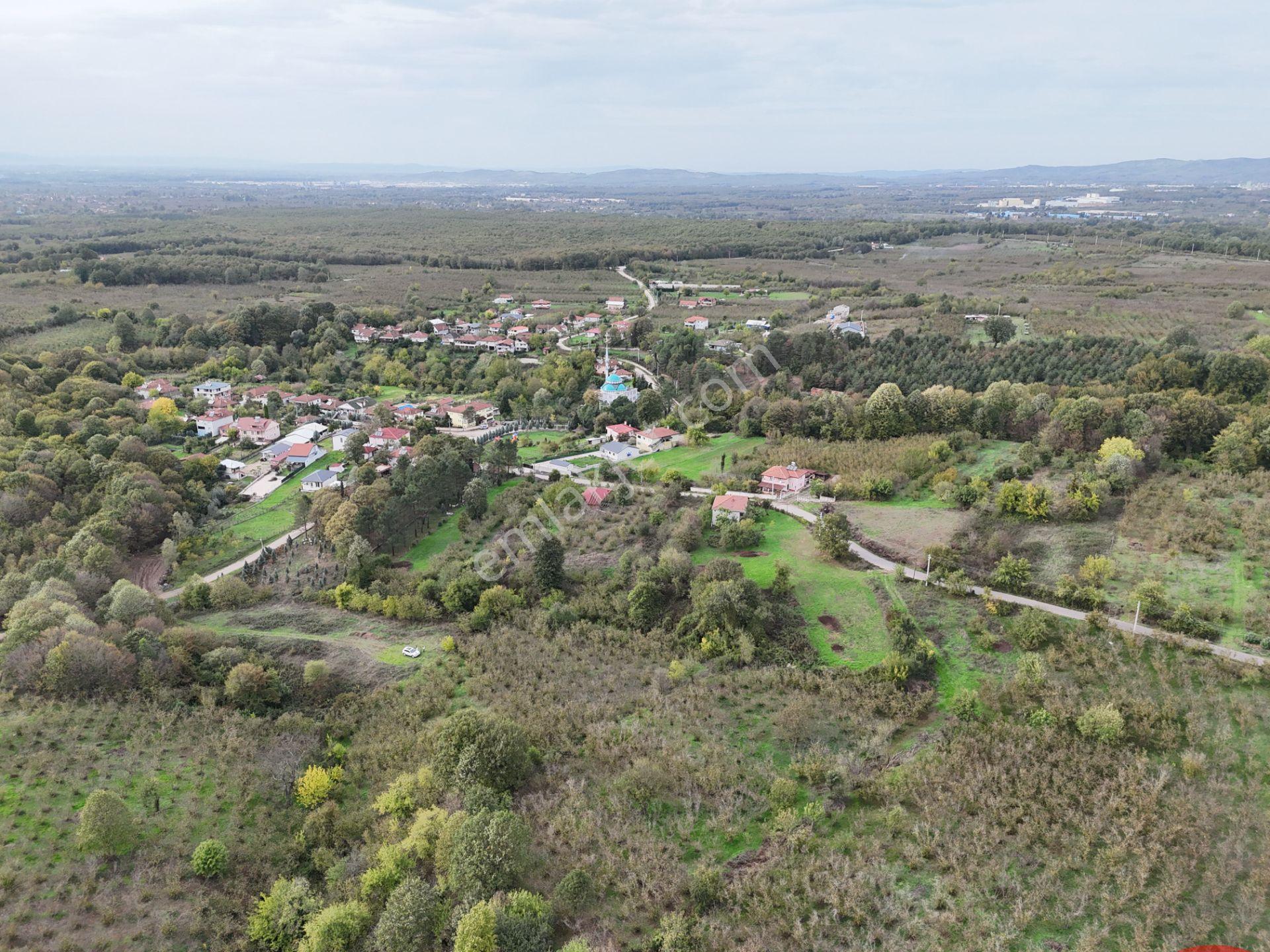 Emlak Evim - İkramiyede 4068 M2 Yarısı İmarlı Arsa - Görsel 7