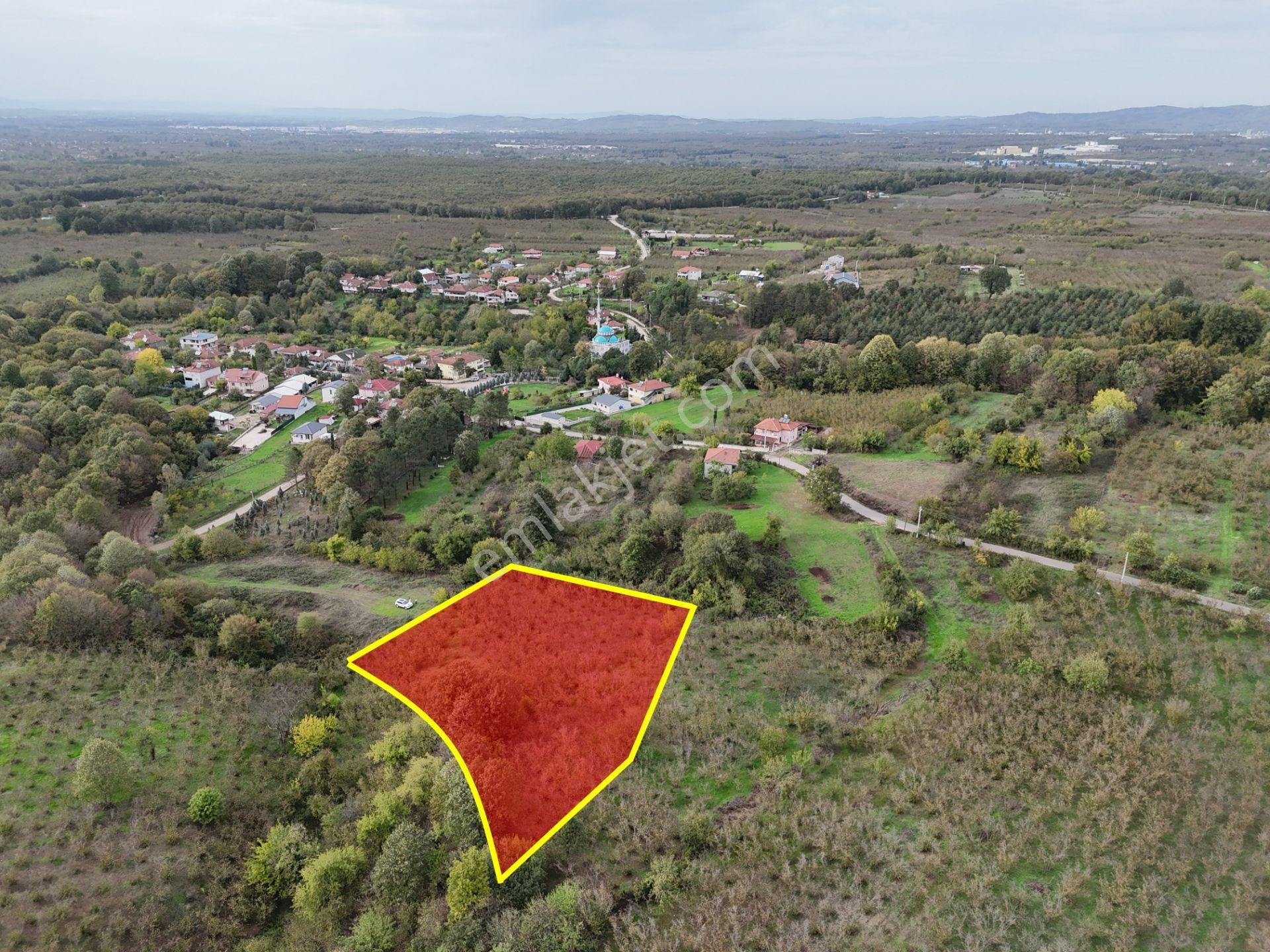 Emlak Evim - İkramiyede 4068 M2 Yarısı İmarlı Arsa - Görsel 9