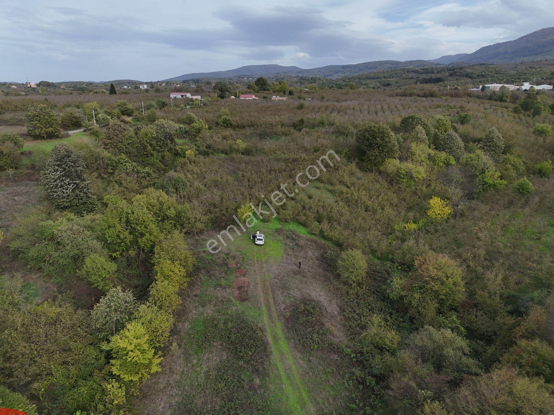 Emlak Evim - İkramiyede 4068 M2 Yarısı İmarlı Arsa - Görsel 34
