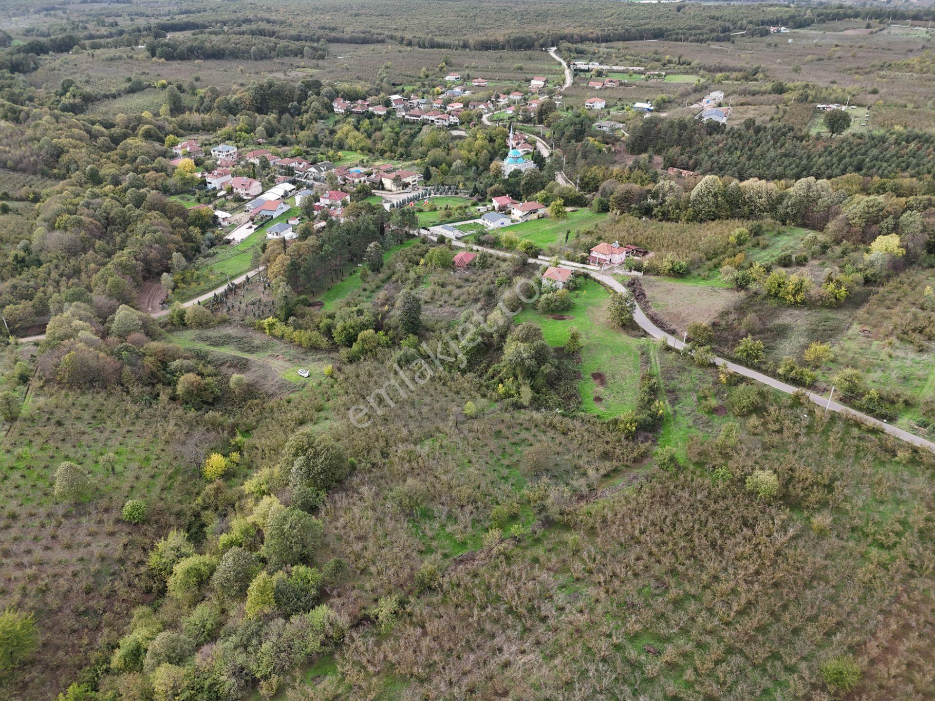 Emlak Evim - İkramiyede 4068 M2 Yarısı İmarlı Arsa - Görsel 12