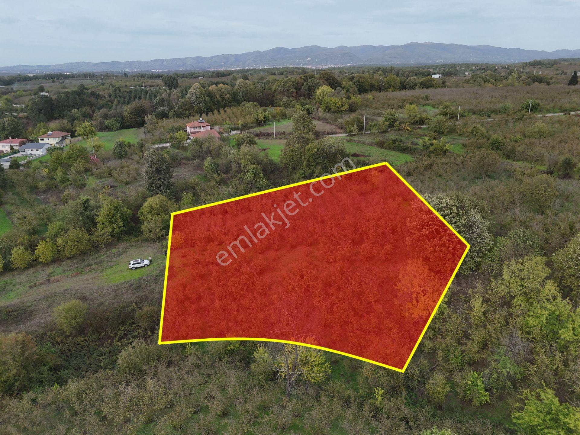 Emlak Evim - İkramiyede 4068 M2 Yarısı İmarlı Arsa - Görsel 24