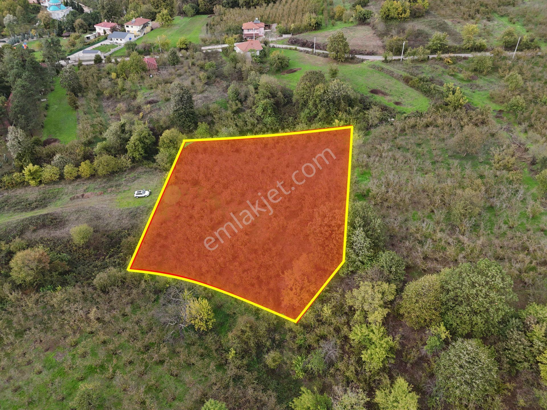 Emlak Evim - İkramiyede 4068 M2 Yarısı İmarlı Arsa - Görsel 22