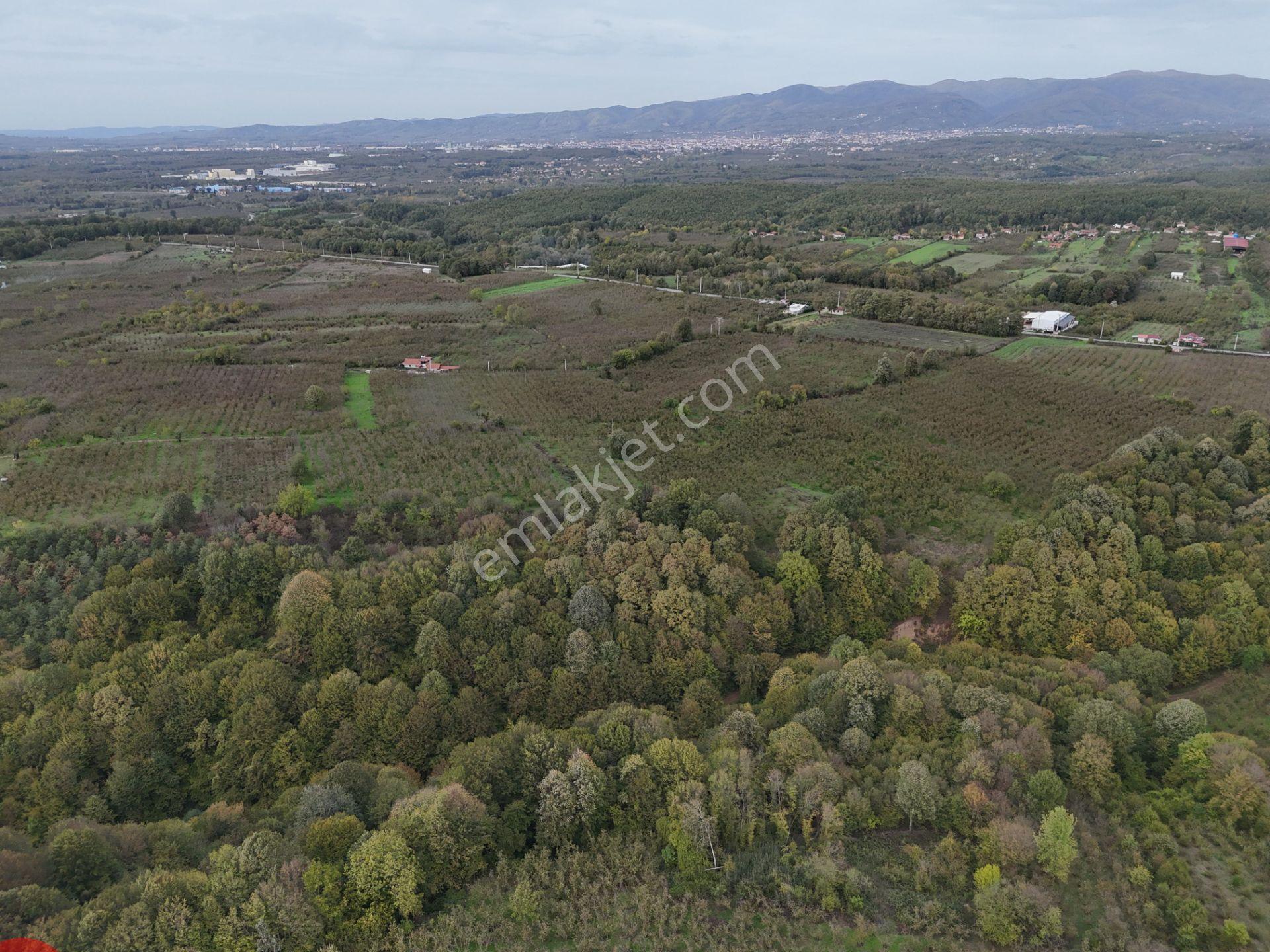 Emlak Evim - İkramiyede 4068 M2 Yarısı İmarlı Arsa - Görsel 18