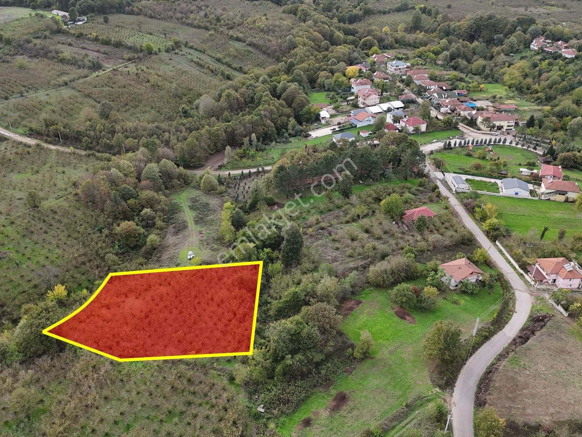 Emlak Evim - İkramiyede 4068 M2 Yarısı İmarlı Arsa - Görsel 14