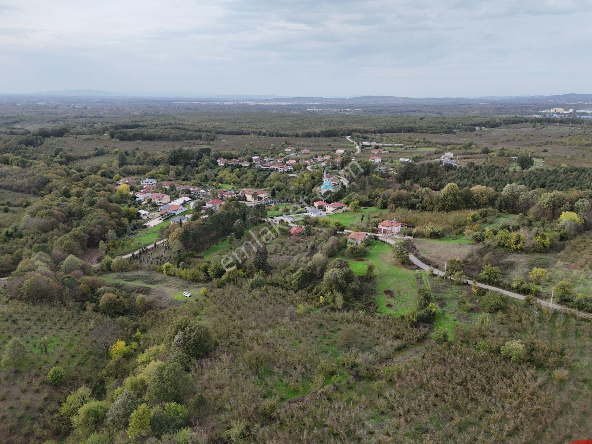 Emlak Evim - İkramiyede 4068 M2 Yarısı İmarlı Arsa - Görsel 11