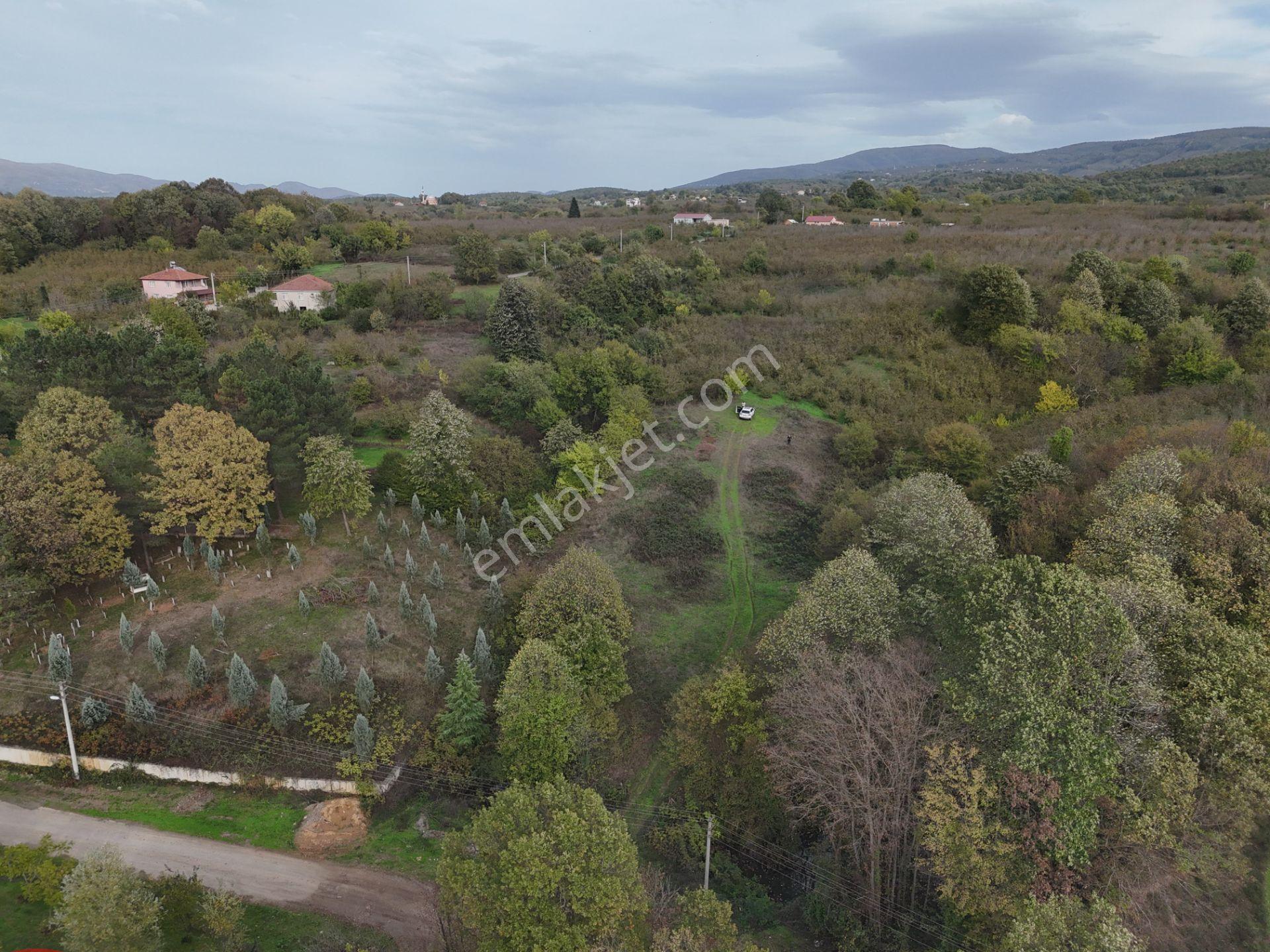 Emlak Evim - İkramiyede 4068 M2 Yarısı İmarlı Arsa - Görsel 35