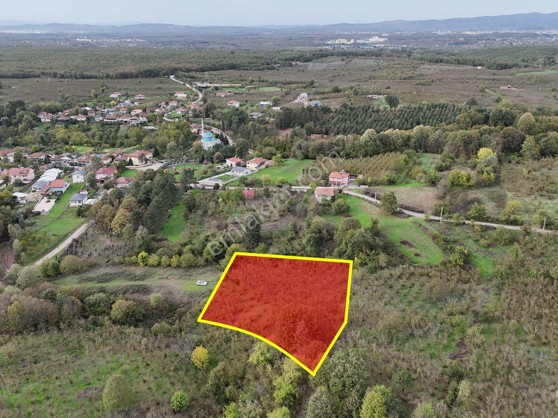 Emlak Evim - İkramiyede 4068 M2 Yarısı İmarlı Arsa - Görsel 6