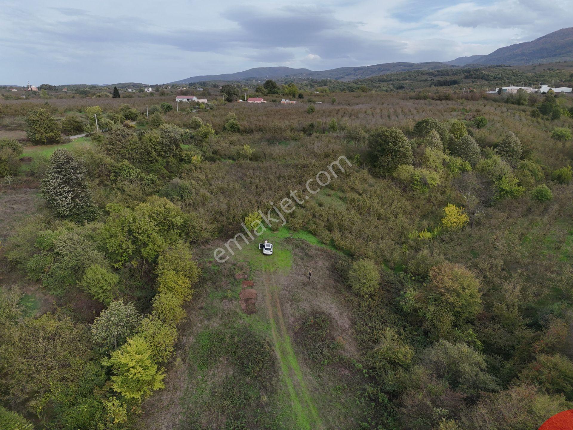 Emlak Evim - İkramiyede 4068 M2 Yarısı İmarlı Arsa - Görsel 33