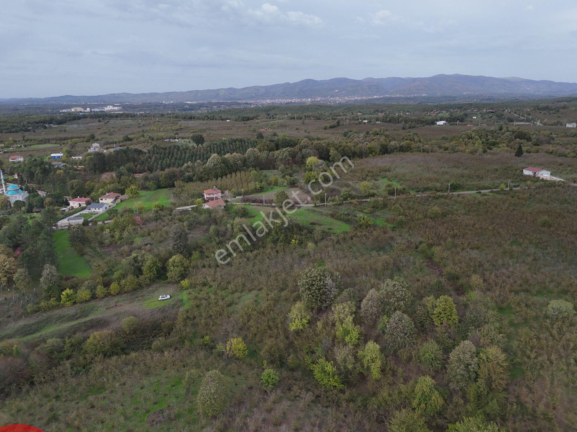 Emlak Evim - İkramiyede 4068 M2 Yarısı İmarlı Arsa - Görsel 26