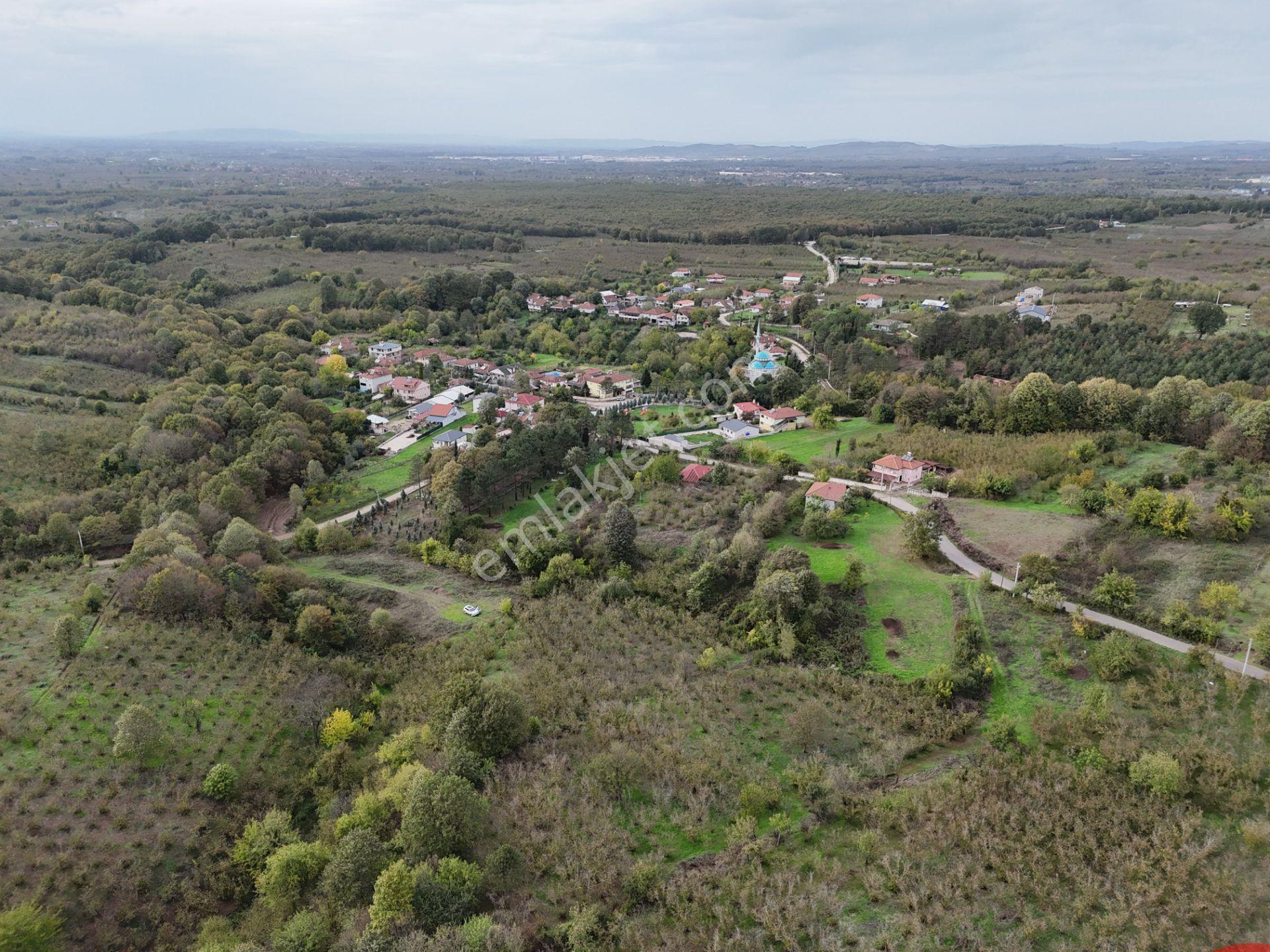 Emlak Evim - İkramiyede 4068 M2 Yarısı İmarlı Arsa - Görsel 10