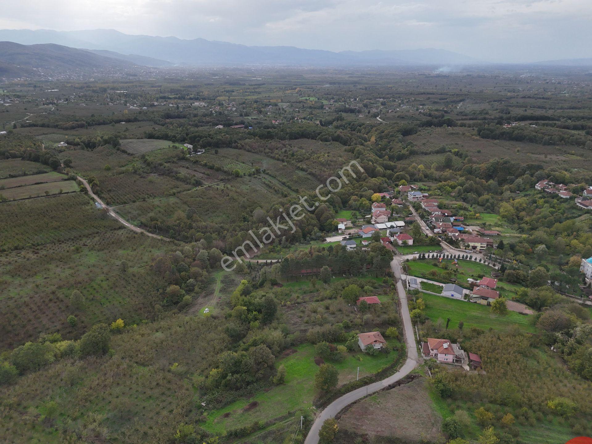 Emlak Evim - İkramiyede 4068 M2 Yarısı İmarlı Arsa - Görsel 16