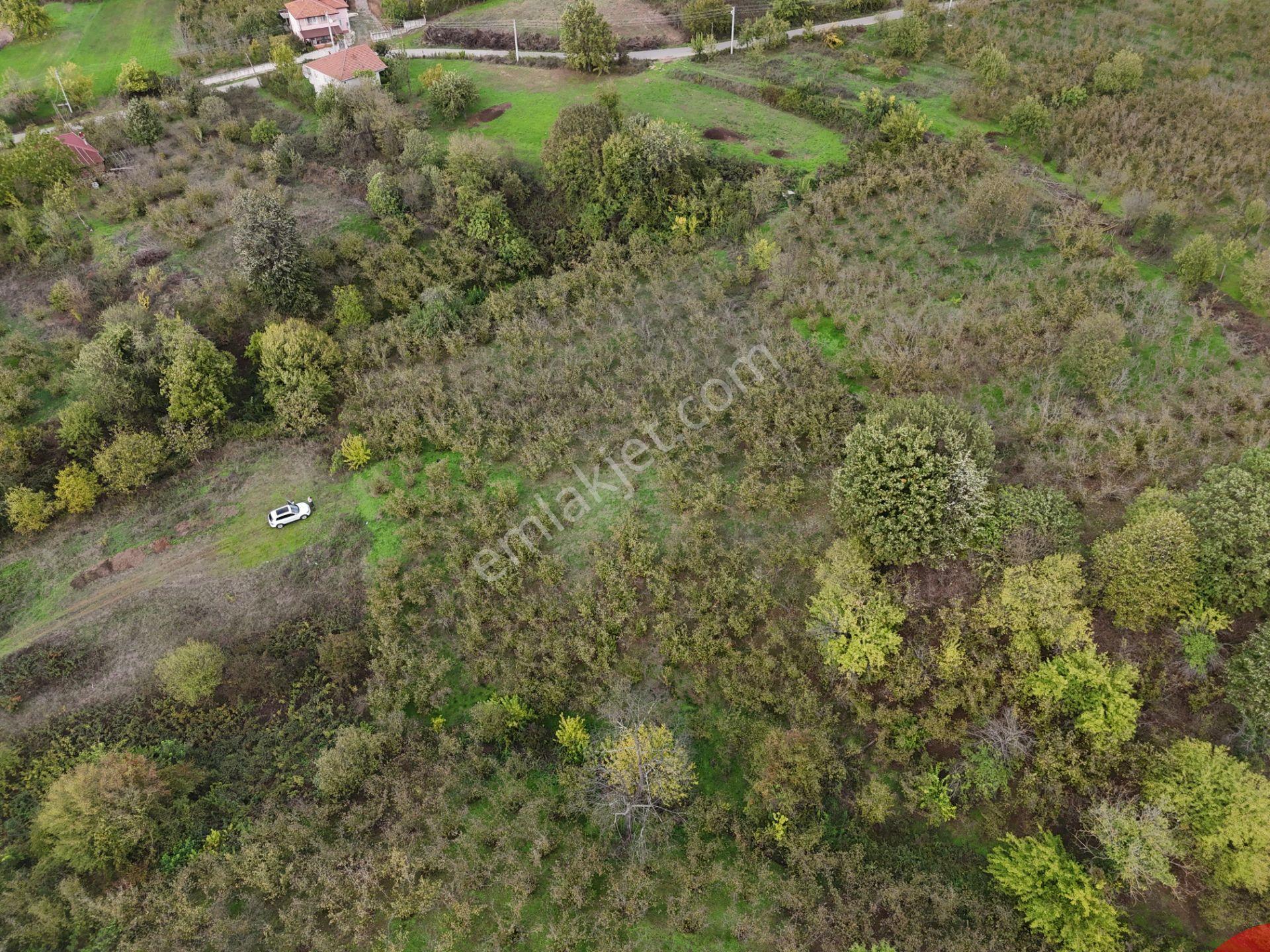 Emlak Evim - İkramiyede 4068 M2 Yarısı İmarlı Arsa - Görsel 23