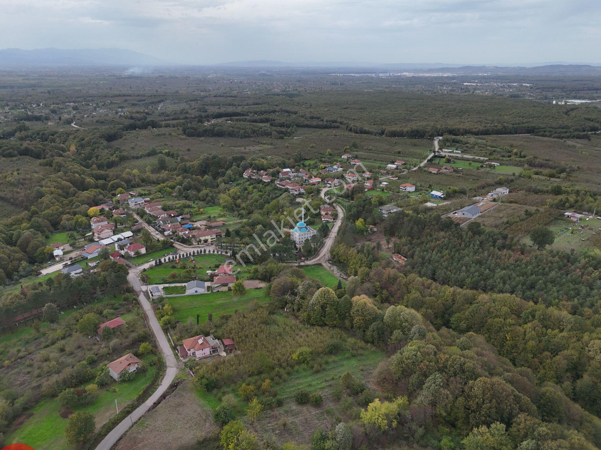 Emlak Evim - İkramiyede 4068 M2 Yarısı İmarlı Arsa - Görsel 17