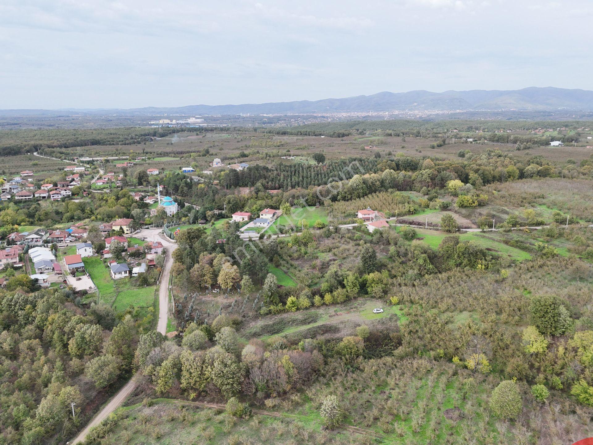 Emlak Evim - İkramiyede 4068 M2 Yarısı İmarlı Arsa - Görsel 3