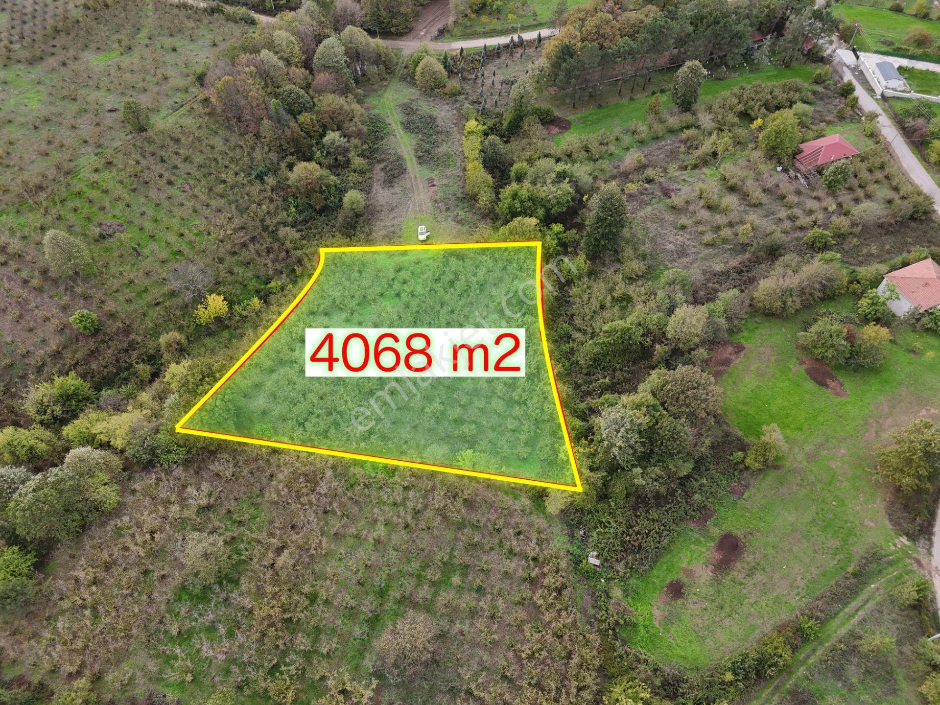 Emlak Evim - İkramiyede 4068 M2 Yarısı İmarlı Arsa - Görsel 19