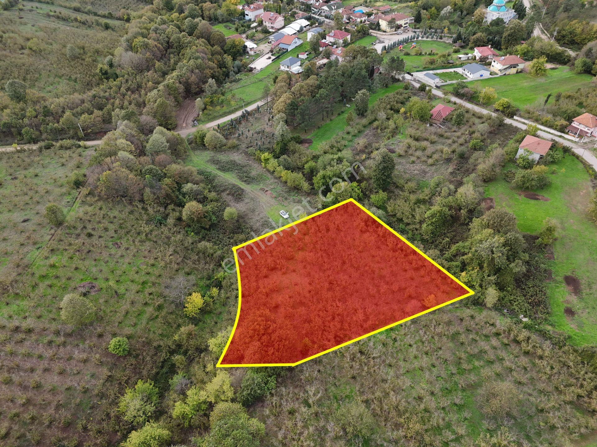 Emlak Evim - İkramiyede 4068 M2 Yarısı İmarlı Arsa - Görsel 21