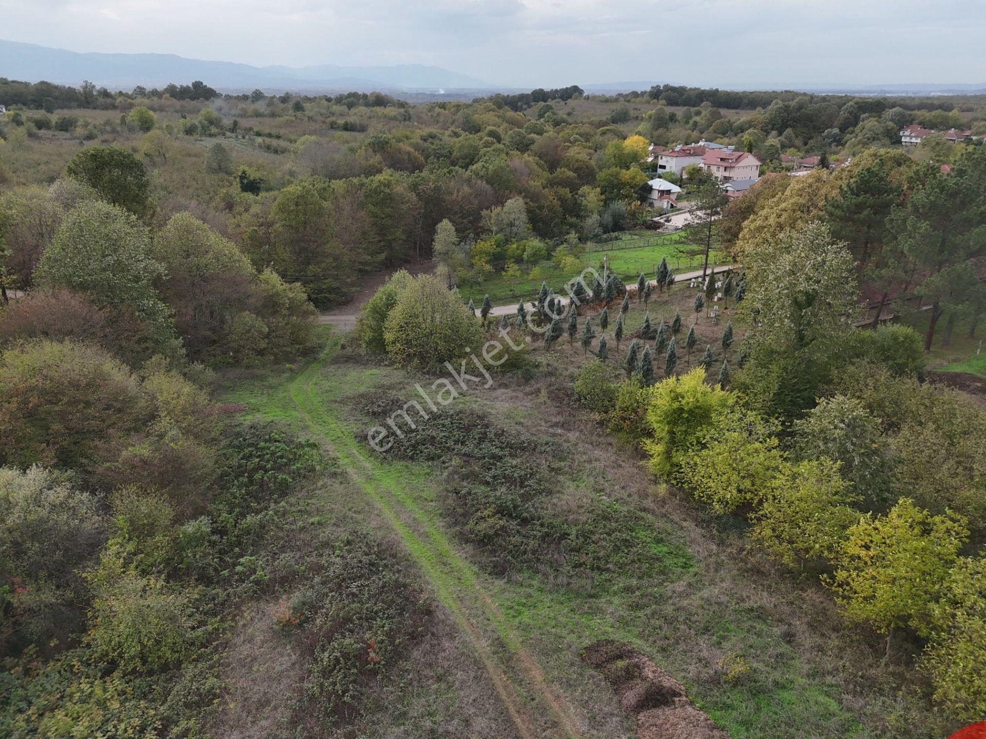 Emlak Evim - İkramiyede 4068 M2 Yarısı İmarlı Arsa - Görsel 30