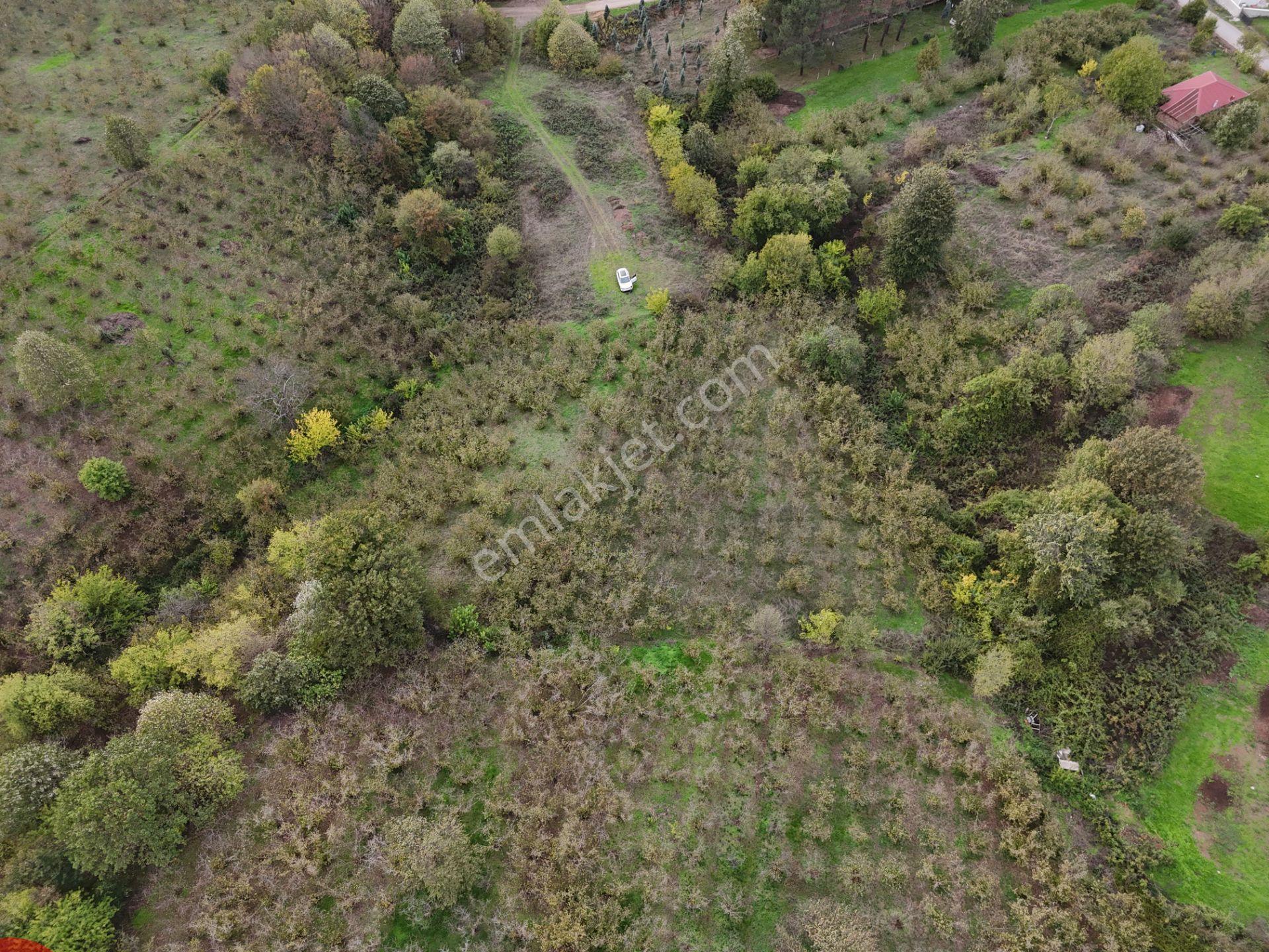 Emlak Evim - İkramiyede 4068 M2 Yarısı İmarlı Arsa - Görsel 20