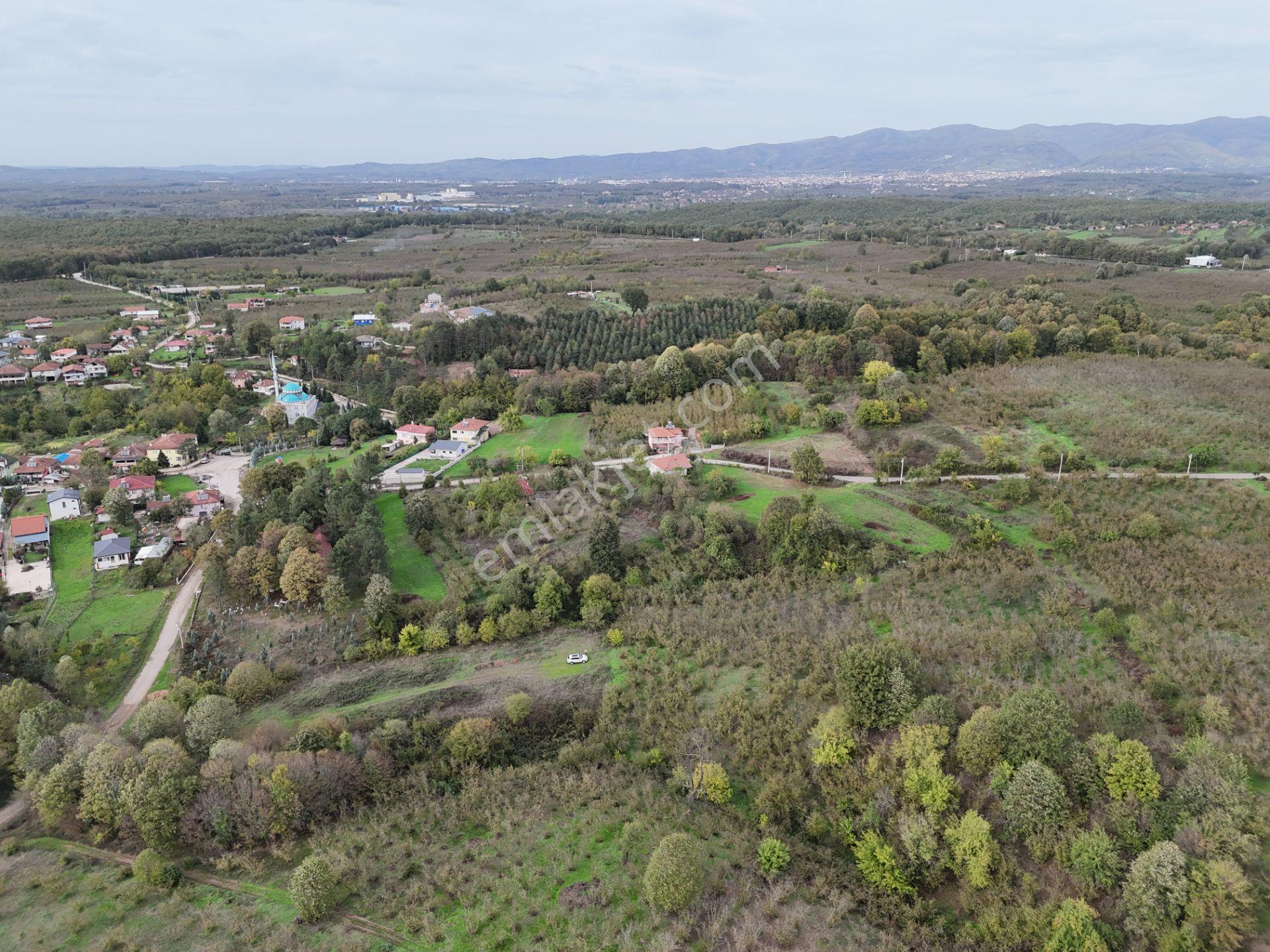 Emlak Evim - İkramiyede 4068 M2 Yarısı İmarlı Arsa - Görsel 5