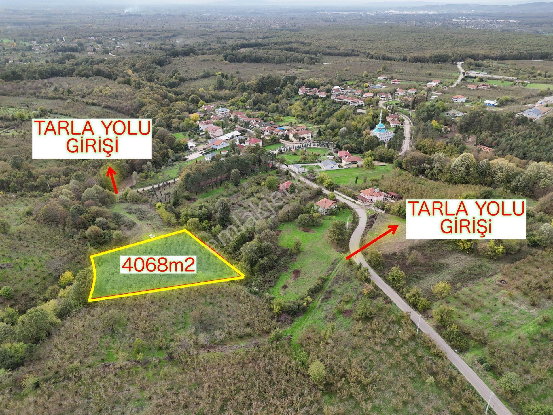 Emlak Evim - İkramiyede 4068 M2 Yarısı İmarlı Arsa - Görsel 13