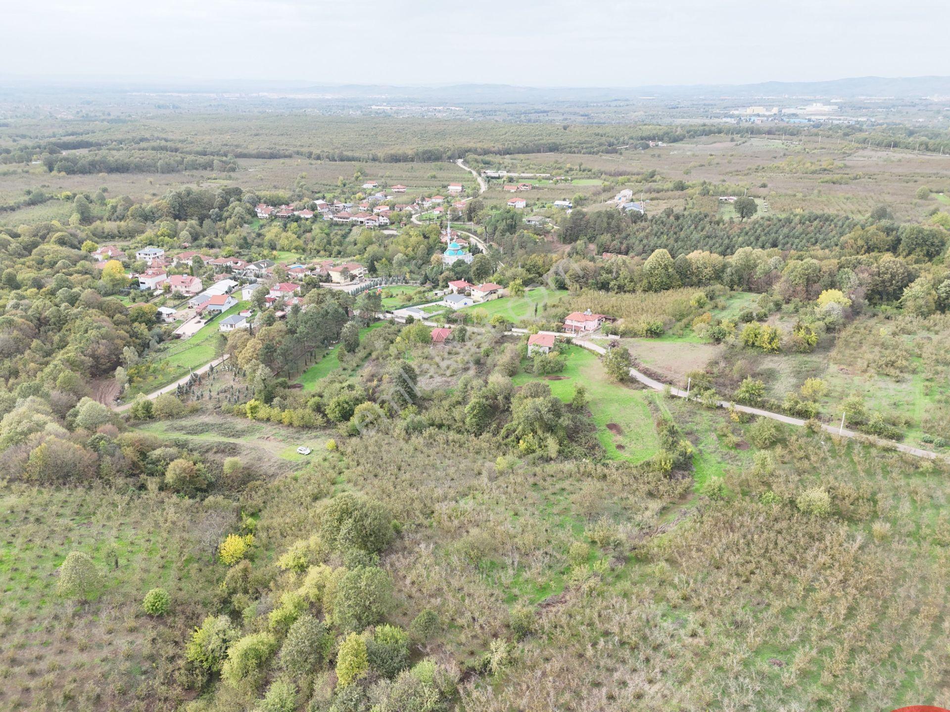 Emlak Evim - İkramiyede 4068 M2 Yarısı İmarlı Arsa - Görsel 8